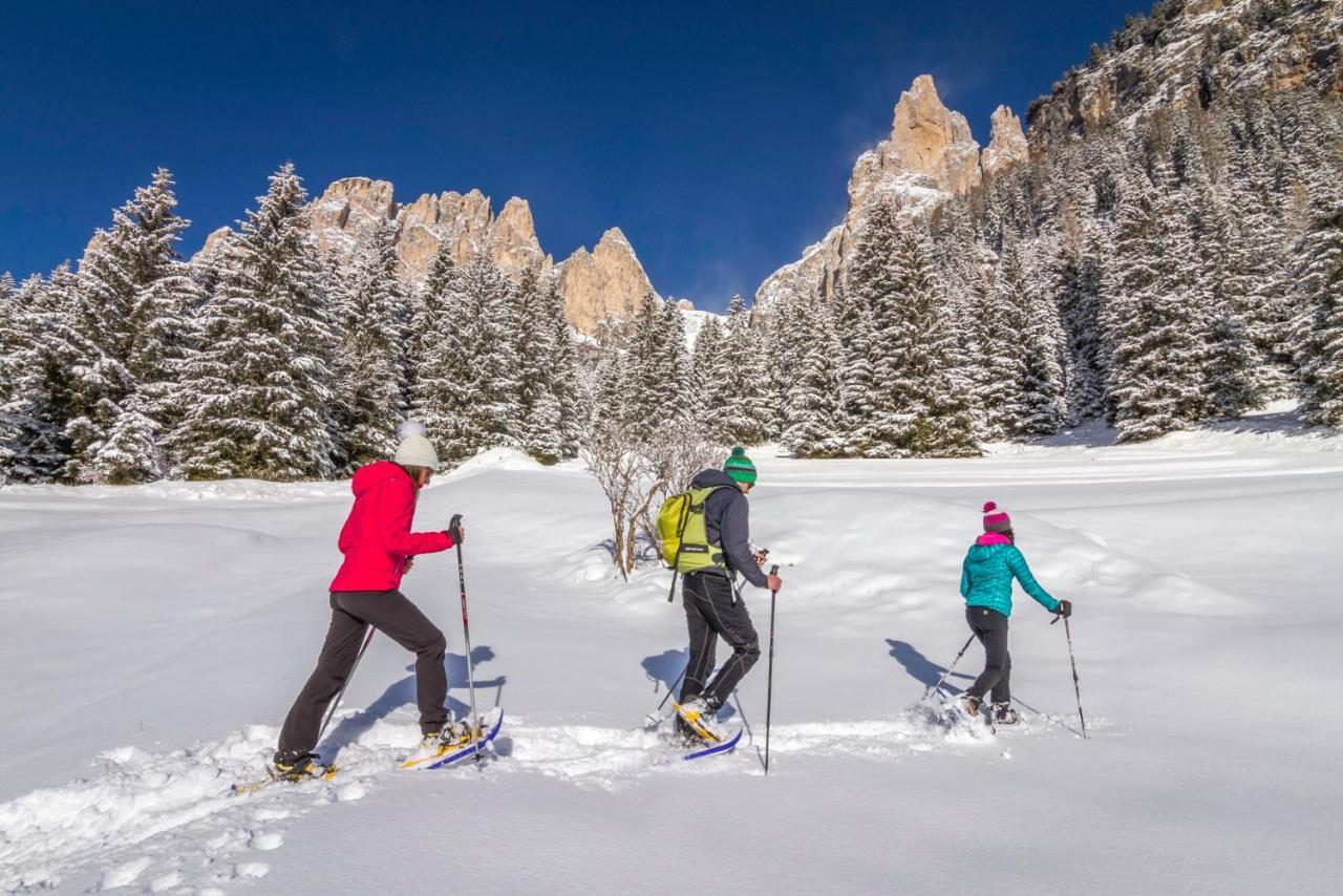Hotel Ladinia Dolomites View Pozza di Fassa Dış mekan fotoğraf